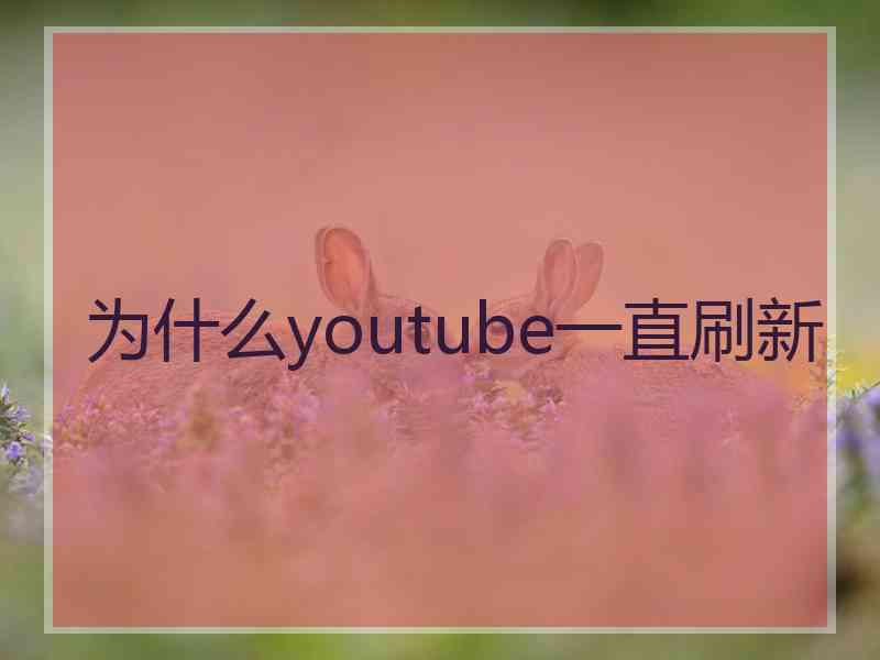 为什么youtube一直刷新