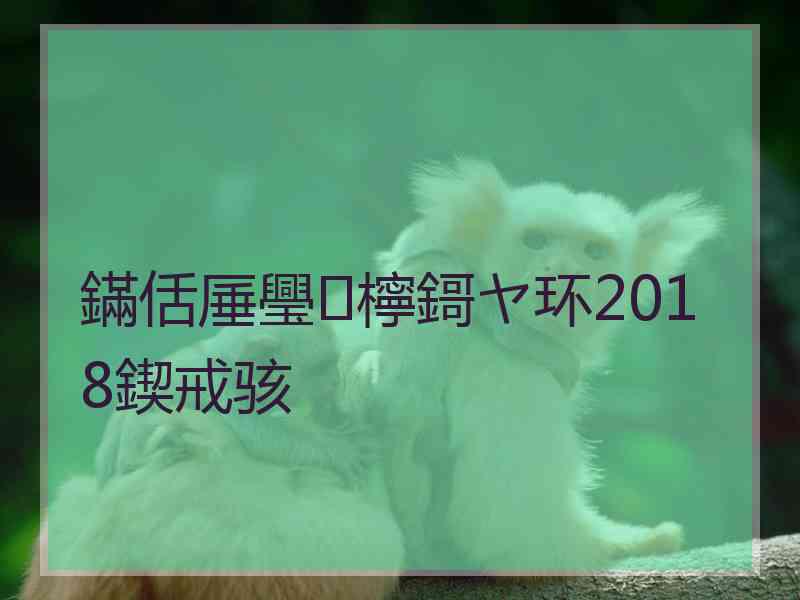 鏋佸厜璺檸鎶ヤ环2018鍥戒骇