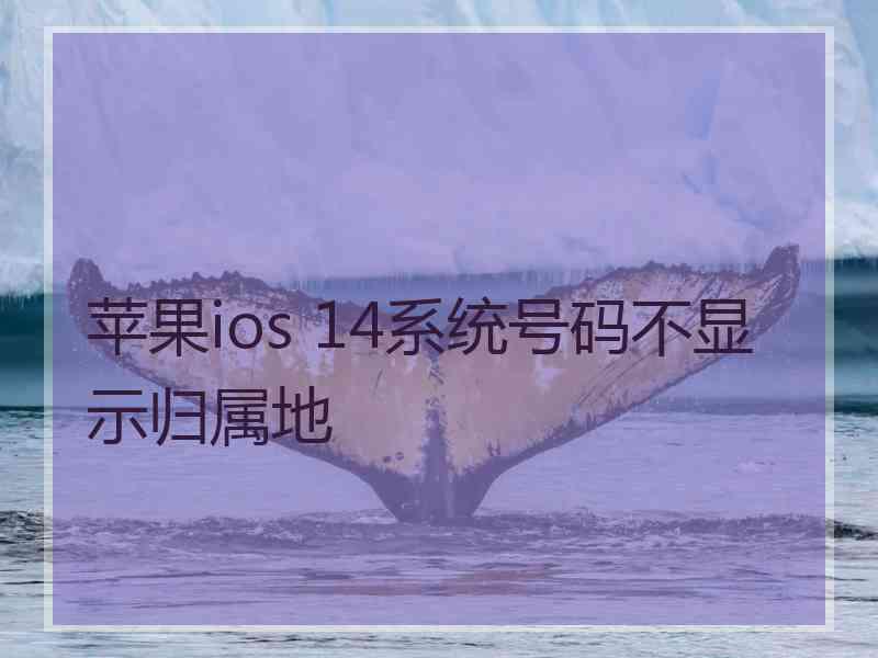 苹果ios 14系统号码不显示归属地