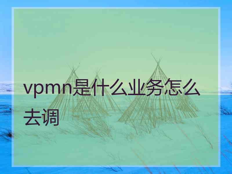 vpmn是什么业务怎么去调