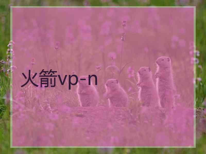 火箭vp-n