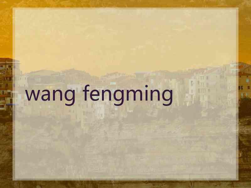 wang fengming