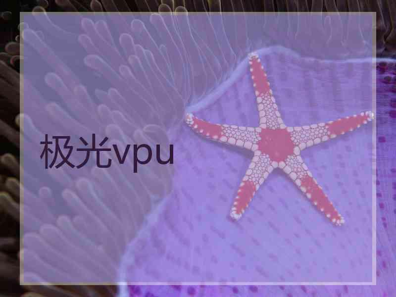 极光vpu