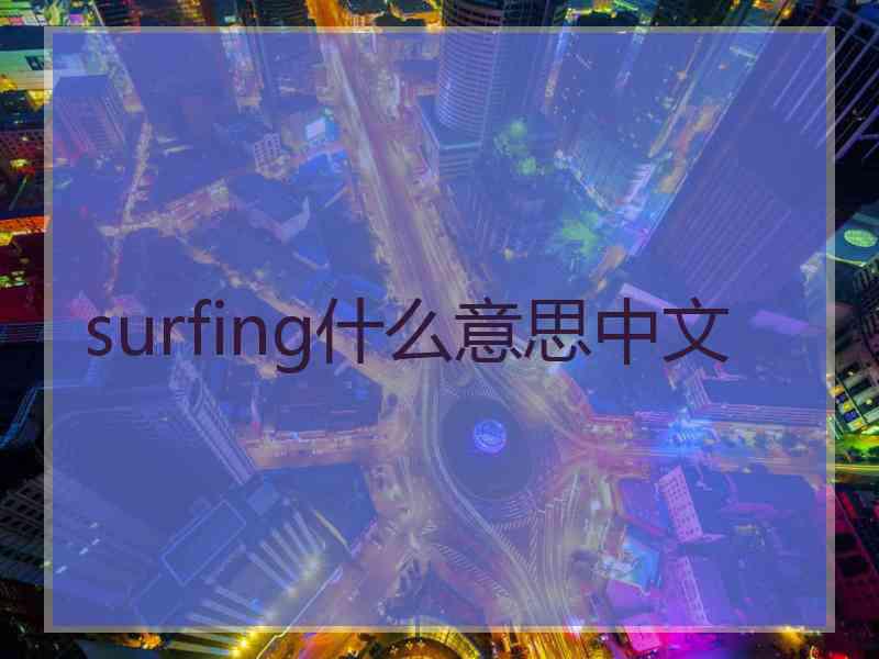 surfing什么意思中文