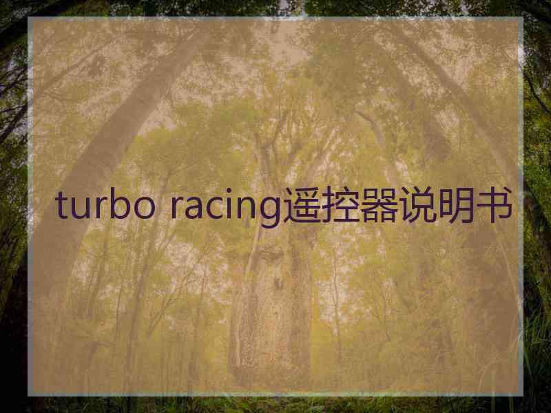 turbo racing遥控器说明书