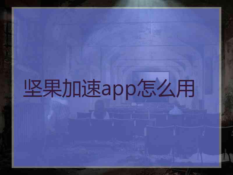 坚果加速app怎么用