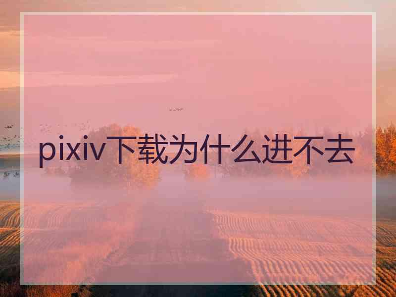 pixiv下载为什么进不去