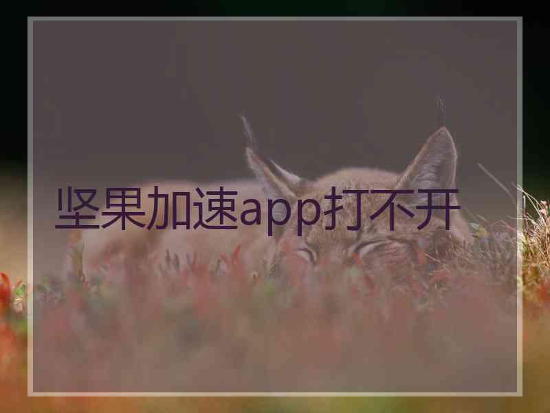 坚果加速app打不开