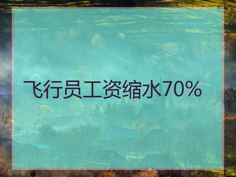 飞行员工资缩水70%