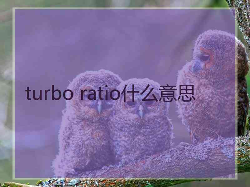 turbo ratio什么意思