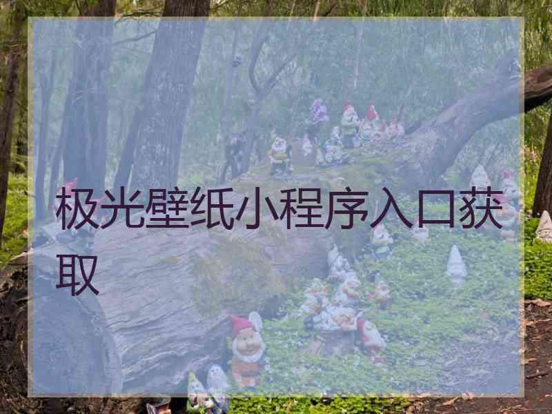 极光壁纸小程序入口获取