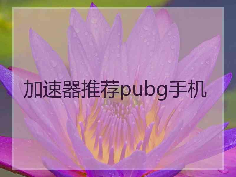 加速器推荐pubg手机