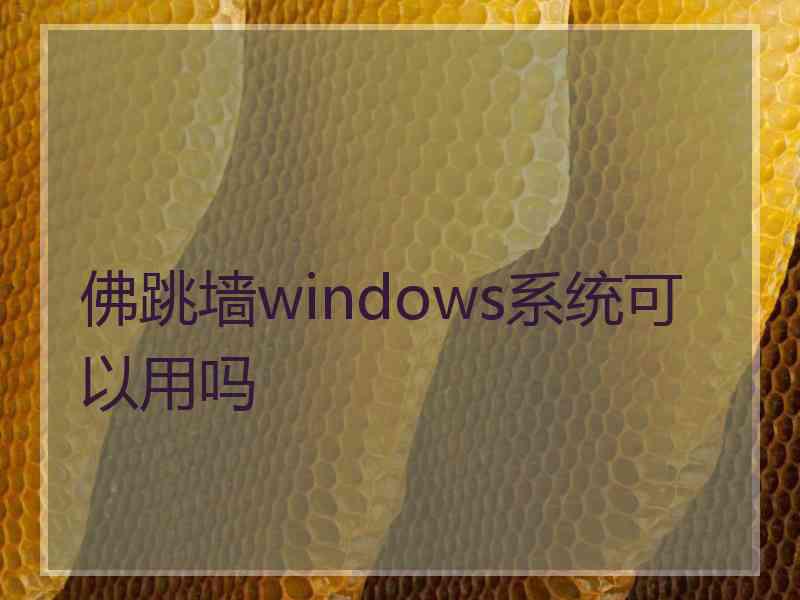 佛跳墙windows系统可以用吗