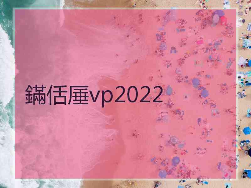 鏋佸厜vp2022